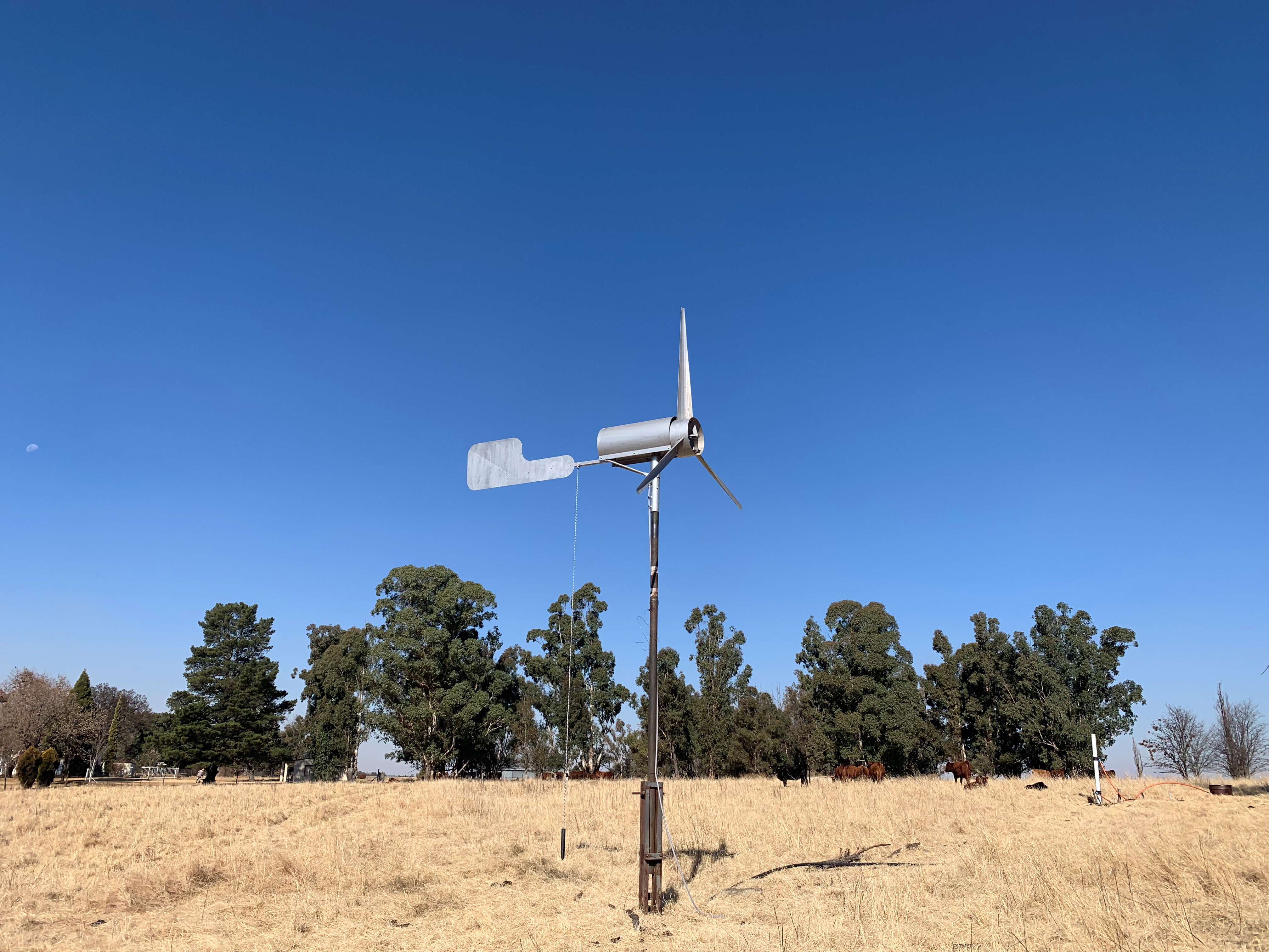 windmill1